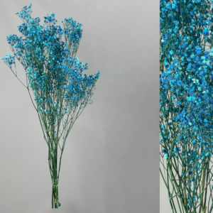 Flores preservadas y secas