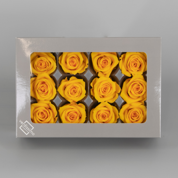 Caja 12 cabezas de rosas preservadas - Imagen 9