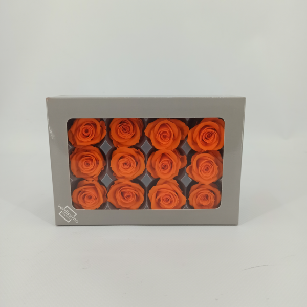 Caja 12 cabezas de rosas preservadas - Imagen 5