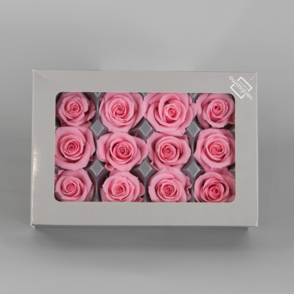 Caja 12 cabezas de rosas preservadas
