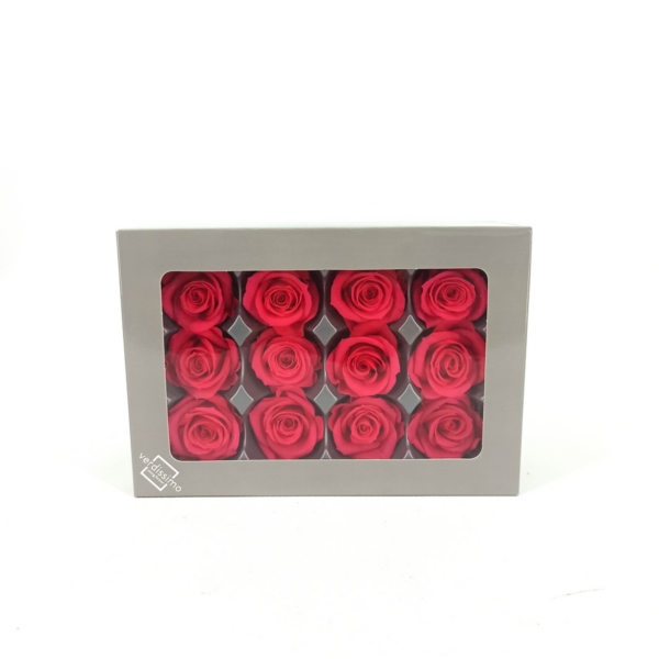 Caja 12 cabezas de rosas preservadas - Imagen 2