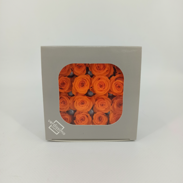 Caja 16 cabezas de rosas preservadas - Imagen 11