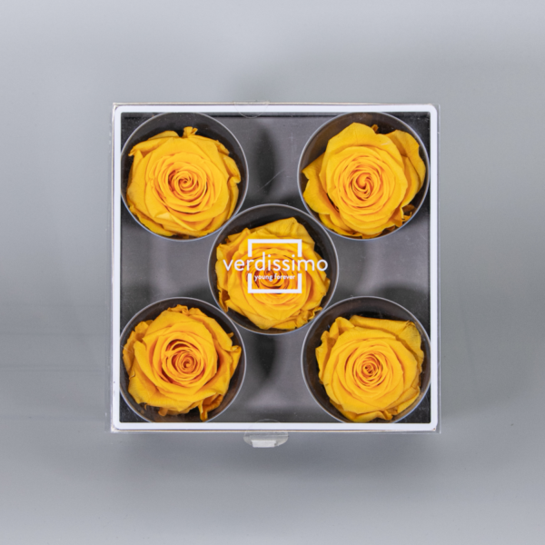 Caja 5 cabezas de rosas preservadas - Imagen 6