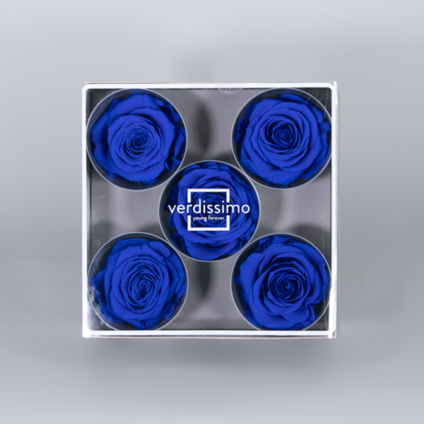 Caja 5 cabezas de rosas preservadas - Imagen 5