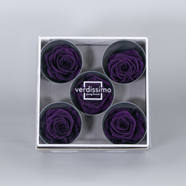 Caja 5 cabezas de rosas preservadas - Imagen 3