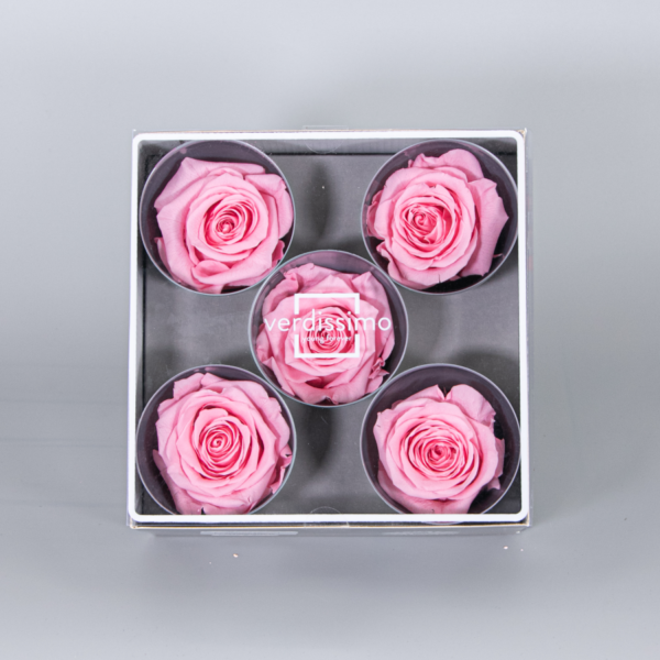 Caja 5 cabezas de rosas preservadas - Imagen 2
